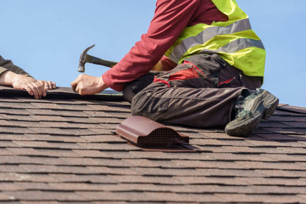 Best Roof Maintenance Services  in Holiday Island, AR