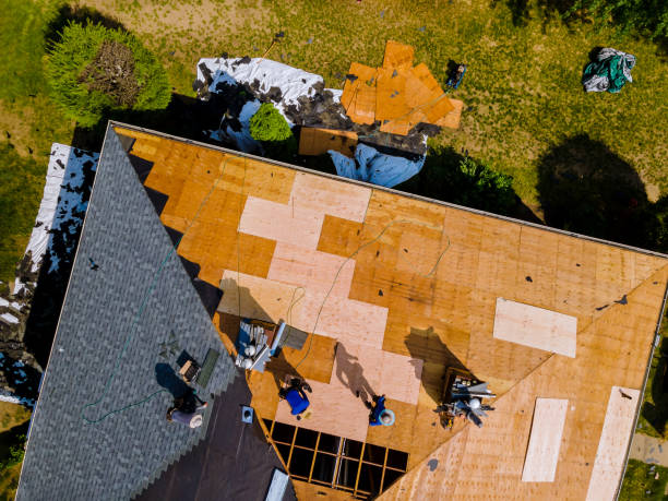 Best Metal Roofing Contractor  in Holiday Island, AR