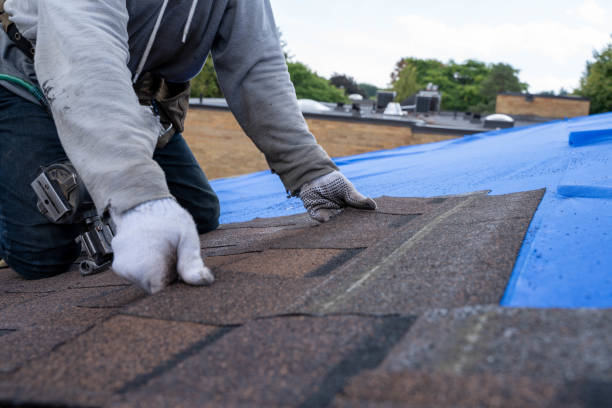 Best Roof Restoration Services  in Holiday Island, AR
