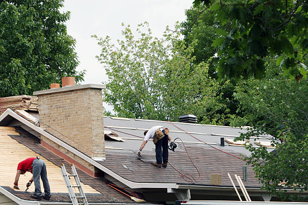 Best Best Roofing Contractors  in Holiday Island, AR
